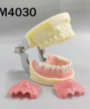 Pus Removal Practice Model - each